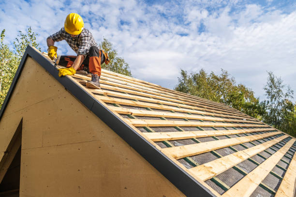 Best Roof Gutter Cleaning  in The Pinehills, MA