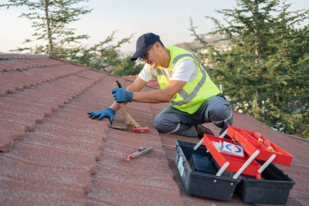 Best Local Roofing Companies  in The Pinehills, MA