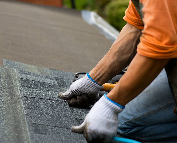 Best Gutter Installation and Roofing  in The Pinehills, MA